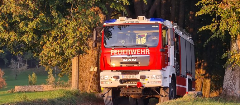 Einsatz: Rettung Großtier am 1. Juli