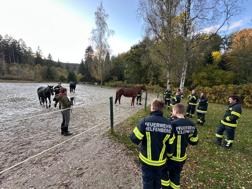 Monatsübung Pferderettung