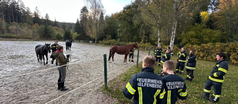 Monatsübung Pferderettung